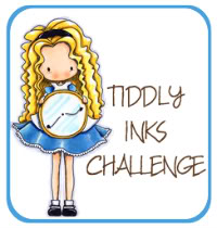 TIDDLYCHALLENGEBUTTONSQ